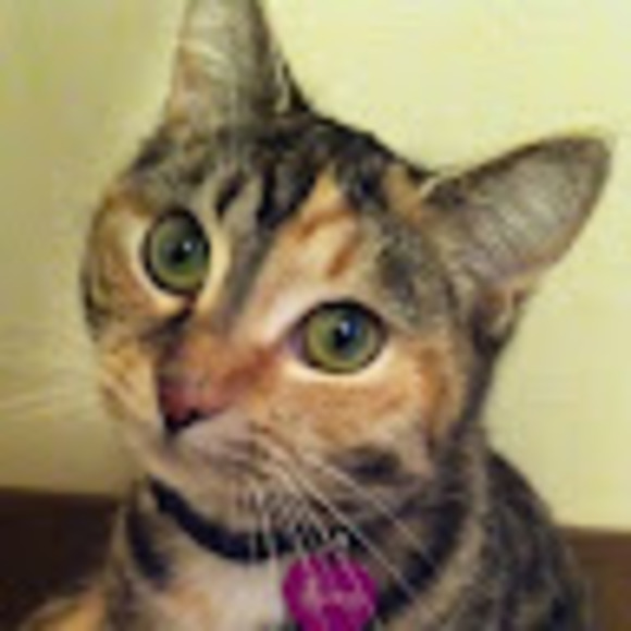 Meet your Posher, Ruth - Picture 1 of 1